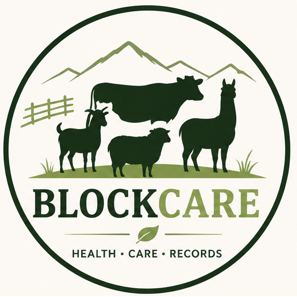 BlockCare logo